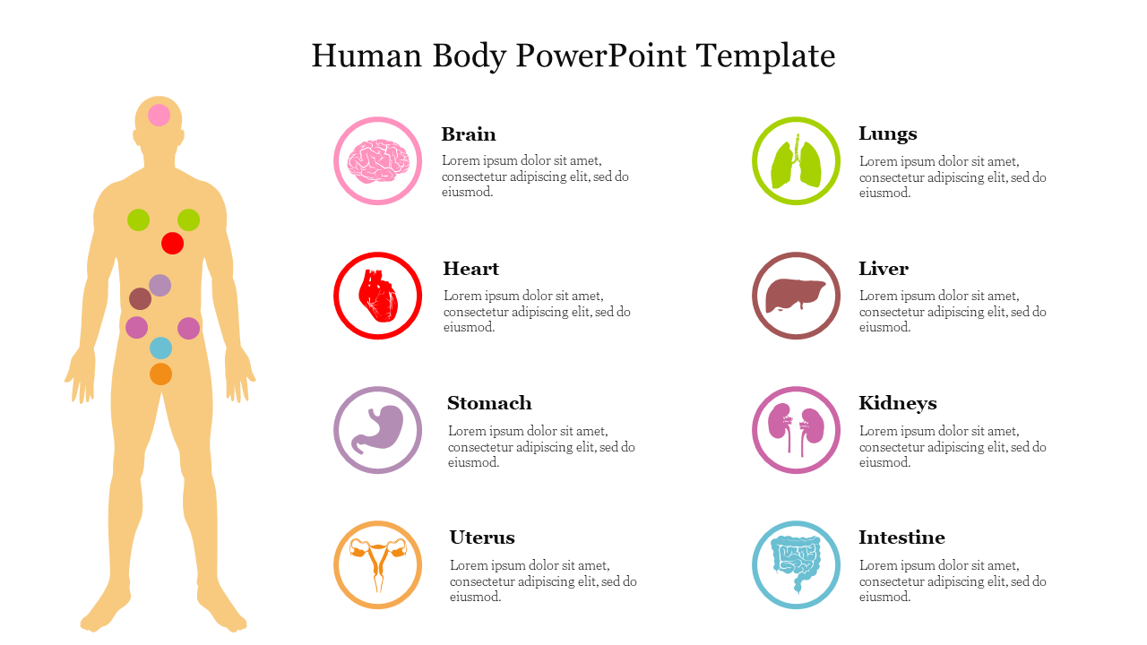 Human Body PowerPoint Template Free